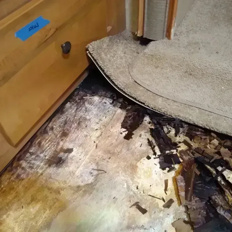 Best Wood Floor Water Damage Service in Bristol, WI